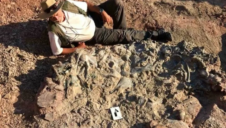 El abrazo entre la ciencia y la minería protege el patrimonio paleontológico local