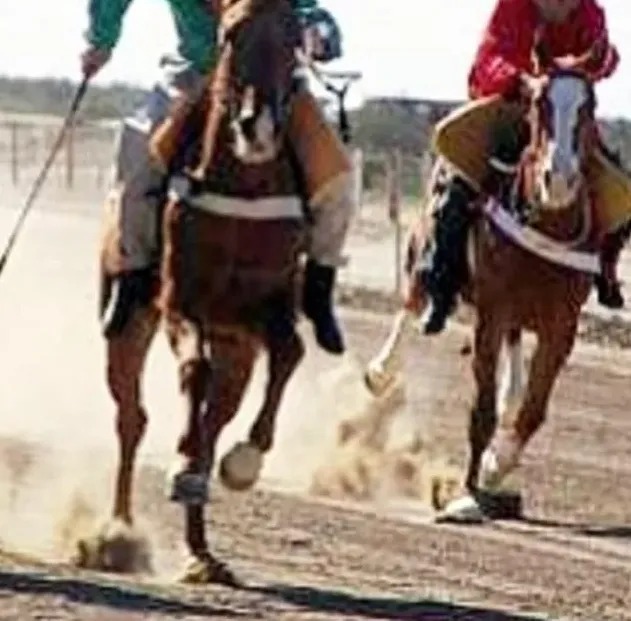 Revuelo en una carrera de caballos por la repentina muerte de un espectador de 74 años