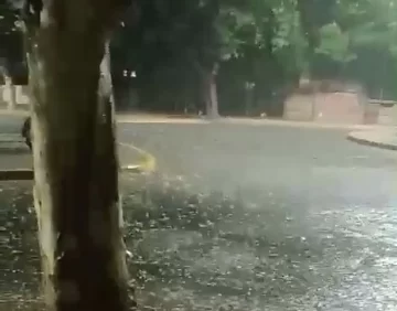 Pese a la fuerte lluvia, aseguran que no hubo personas evacuadas