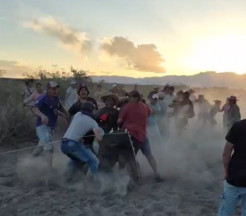 Impactante video de una brutal pelea al finalizar una carrera clandestina de caballos: alcohol, piñas y rebencazos