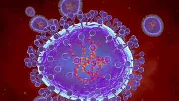 Qué es y cómo se contagia el metapneumovirus humano que se expande en China