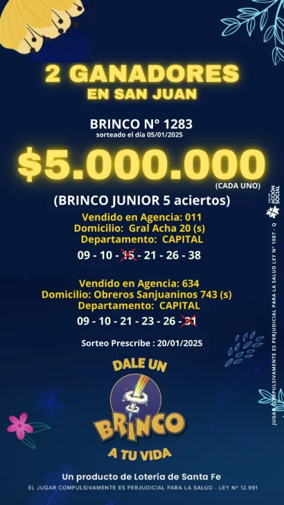 brinco-6-1-410x728